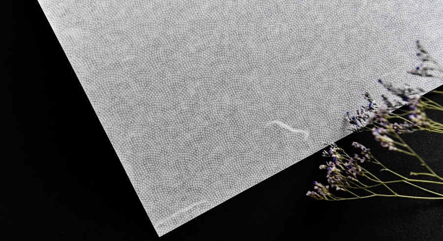 PW020 PW020